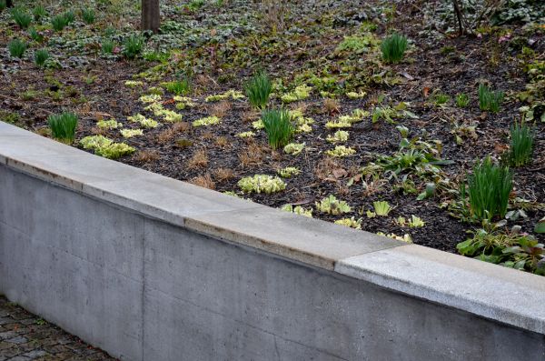 Concrete Wall Construction in Visalia