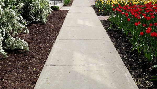 Sidewalk Slab Replacement in Visalia