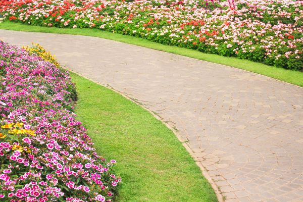Concrete Walkway Service in Visalia