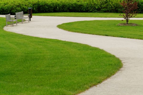 Sidewalk Installation in Visalia